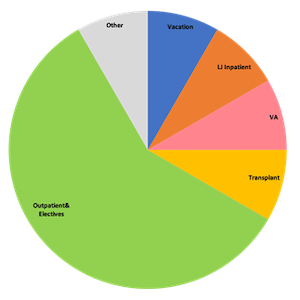 pie chart visualization of time for 2nd year clinical fellow, bulleted list
