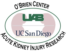 UAB UC San Diego logo